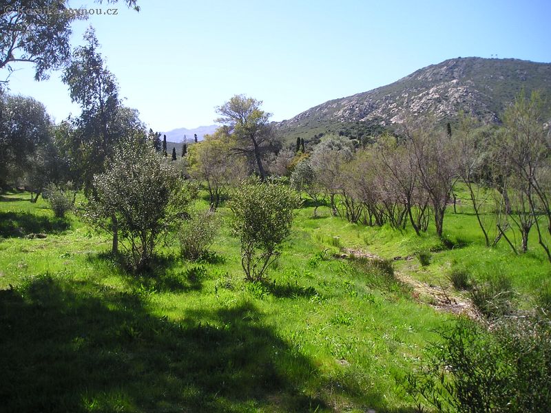zahrada odpočinku.jpg