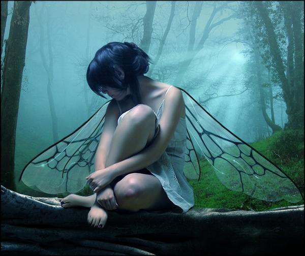FAIRY.jpg